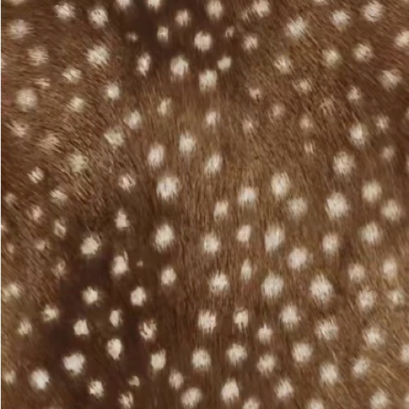 chloesoa